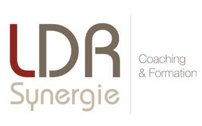 Logo LDR Synergie