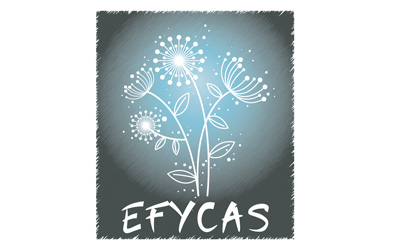 Logo EFYCAS